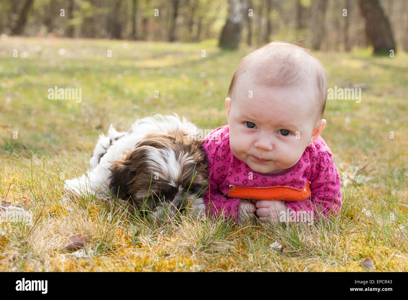 Mignon bébé et chiot sont sur l'herbe dans la nature Banque D'Images