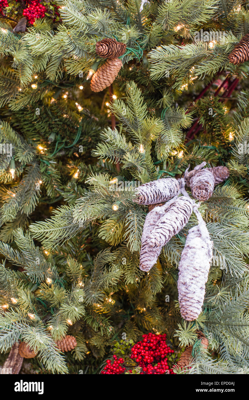 Evergreen éclairé avec des pommes de pin Banque D'Images