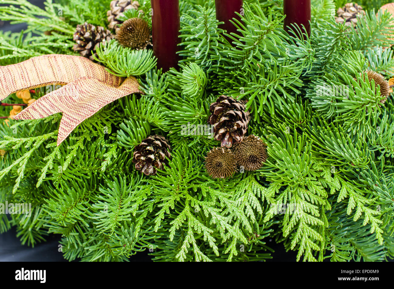 Arrangement de Noël avec des pommes de pin et ruban Banque D'Images