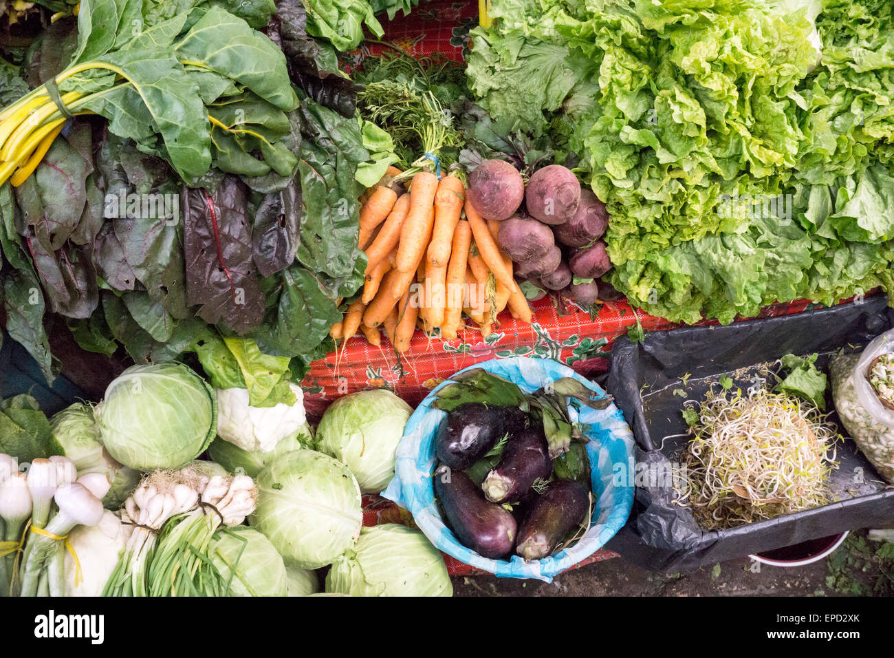 Superbe écran légumes frais Carottes Chou Laitue betteraves blettes aubergines oignons de printemps au marché principal de blocage de germes Banque D'Images