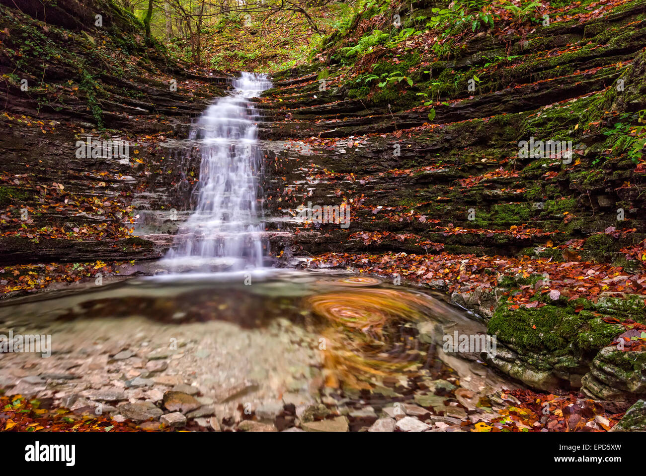 Cascade de la forêt en automne, Monte Cucco NP, Ombrie, Italie Banque D'Images