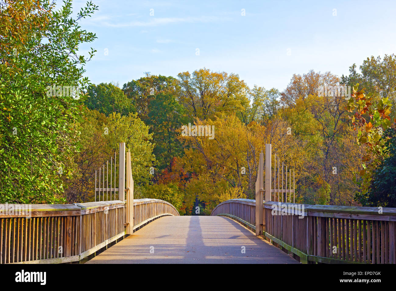 Un sentier pont à Theodore Roosevelt Island et coloré arbres en automne, Washington DC. Banque D'Images