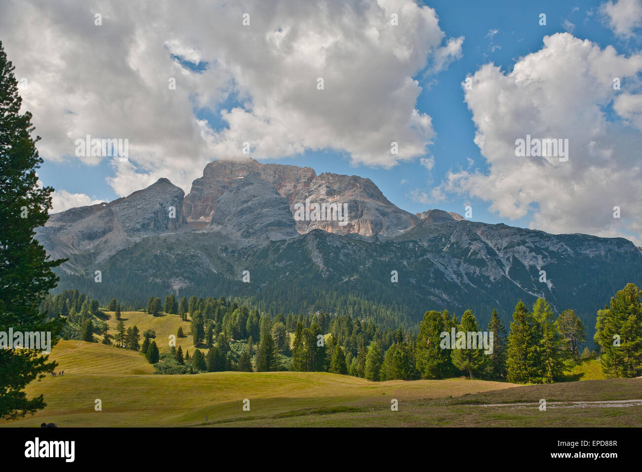 Pic de Croda Rossa de Prato Piazza plateau, dans une journée ensoleillée d'été, Dolomites, Italie Banque D'Images