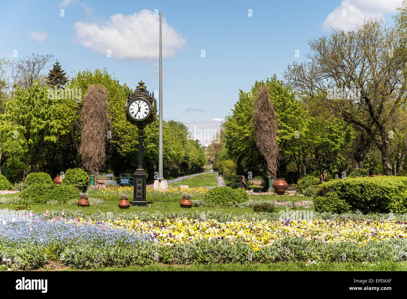 Les jardins Cismigiu (Cismigiu Parcul) est l'un des plus grands et plus beaux parcs publics dans le centre-ville de Bucarest construite en 1847 Banque D'Images