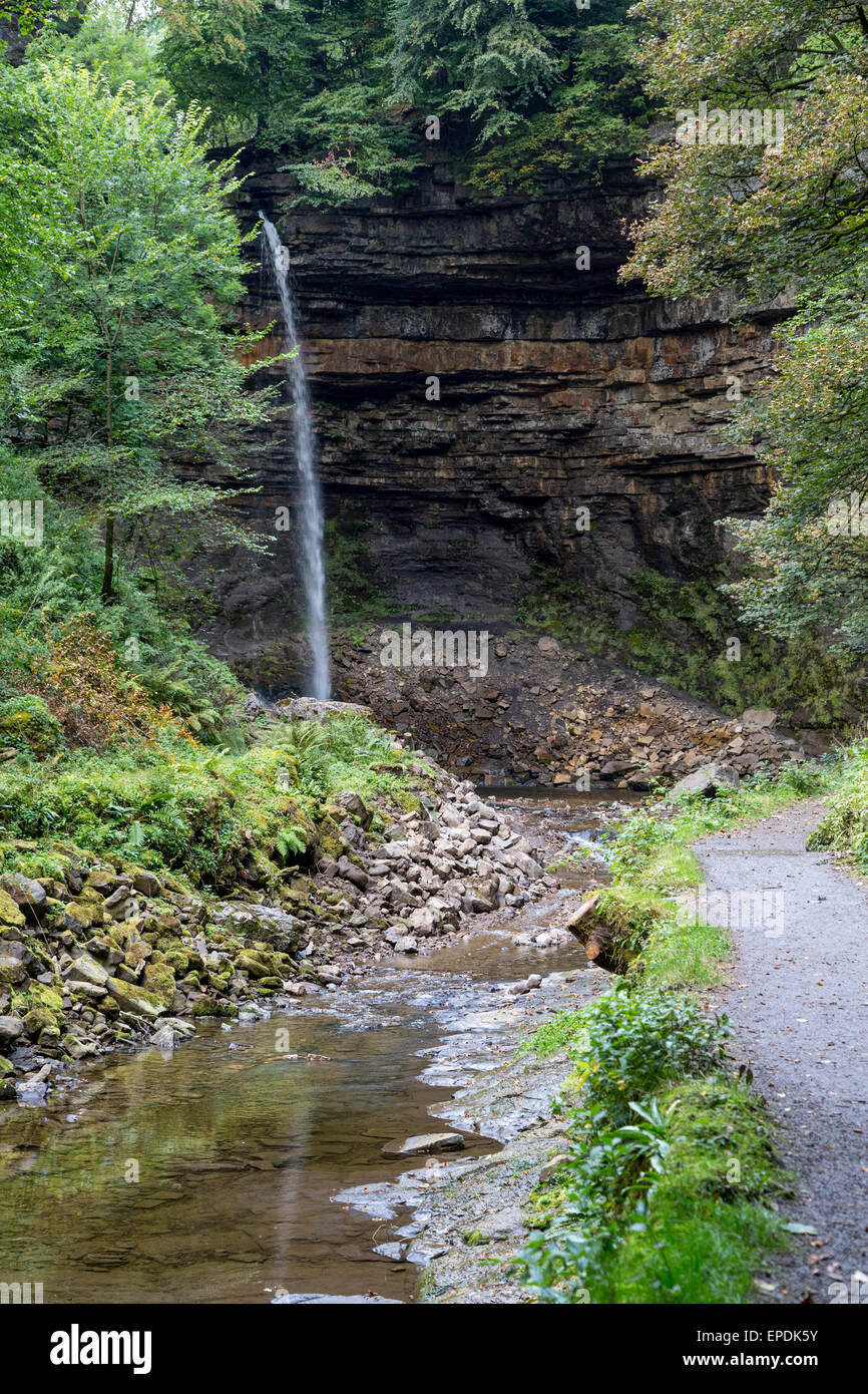 Royaume-uni, Angleterre, dans le Yorkshire. Hardraw Force, dans Hardraw cicatrice, plus longue descente de cascade en Angleterre. Banque D'Images