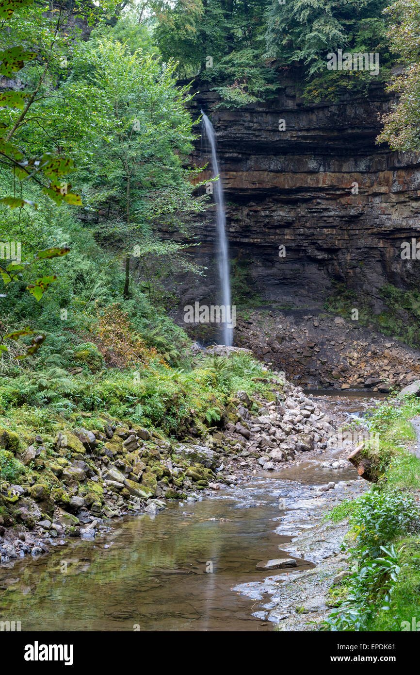 Royaume-uni, Angleterre, dans le Yorkshire. Hardraw Force, dans Hardraw cicatrice, plus longue descente de cascade en Angleterre. Banque D'Images