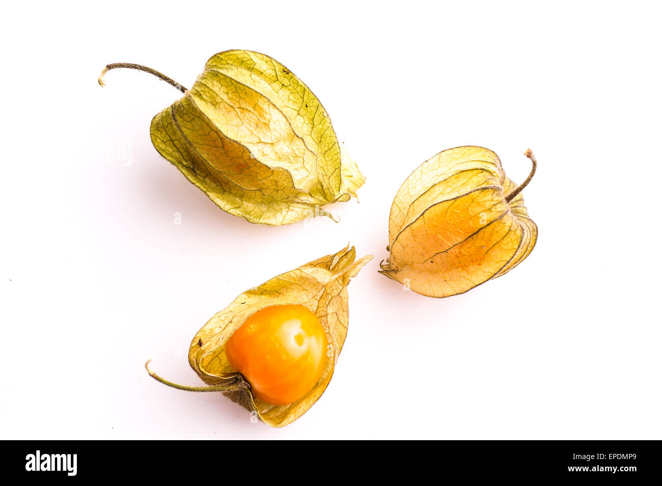Cape Gooseberry fruits frais isolated on white Banque D'Images