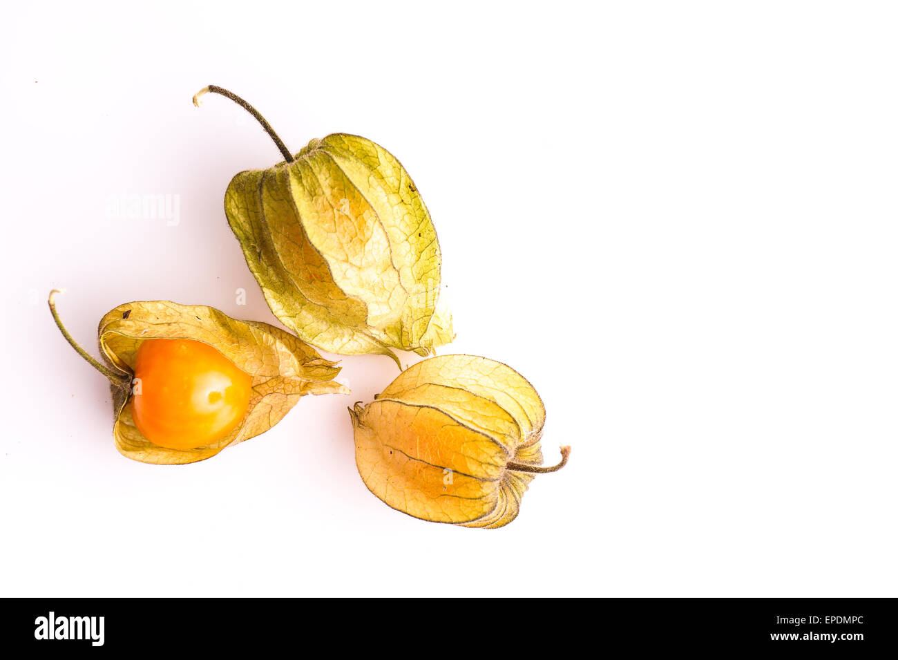 Cape Gooseberry fruits frais isolated on white Banque D'Images