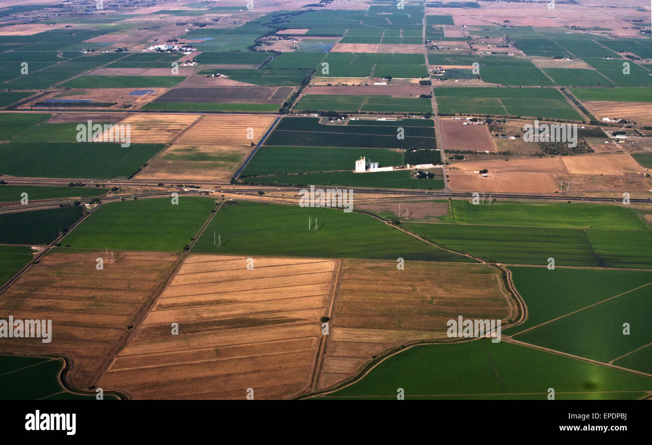Vue aérienne de mosaïque de fermes dans la vallée centrale, Califonria Banque D'Images