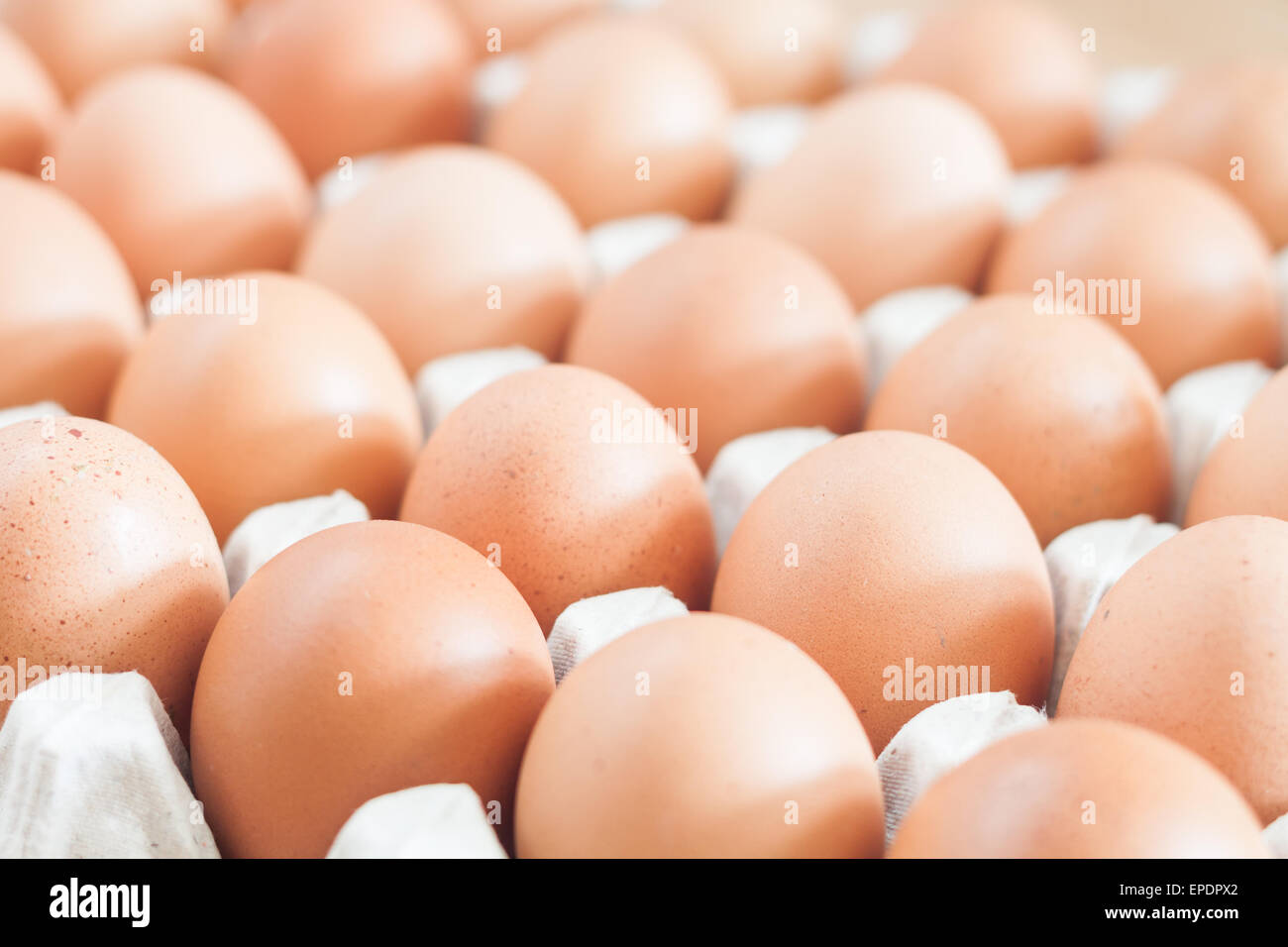 Fermé le poulet frais oeufs, stock photo Banque D'Images