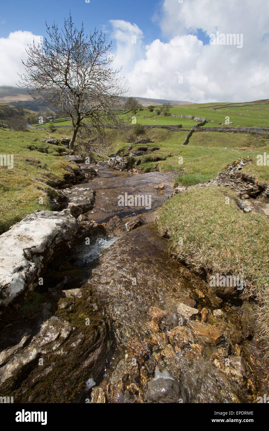 Yorkshire Dales, Angleterre. vue pittoresque de l'une des chutes d'cray qui est un affluent de la rivière Wharfe. Banque D'Images