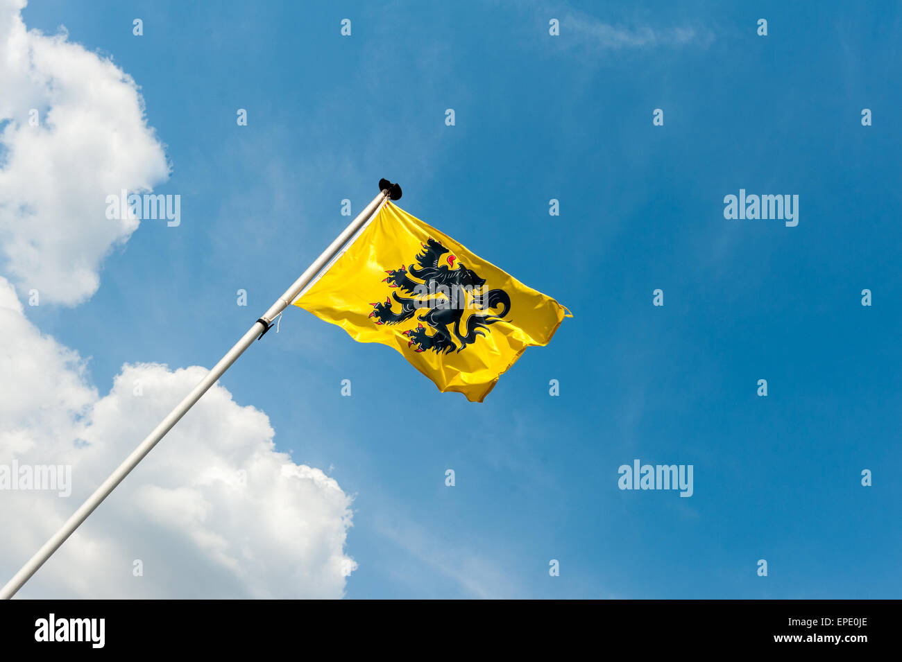 Drapeau de la Flandre - Vlaamse Leeuw Banque D'Images