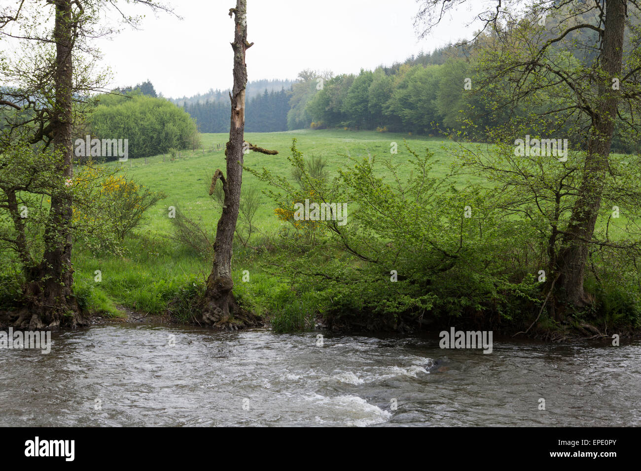 Rivière Ourthe dans le quartier d'Houffalize, dans les Ardennes, Belgique Banque D'Images