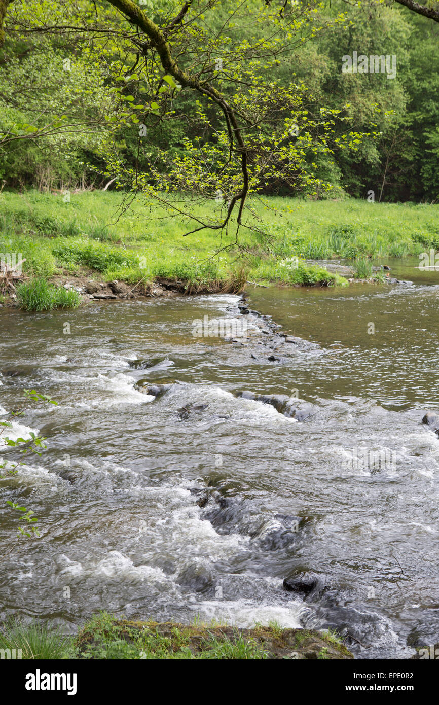 Rivière Ourthe dans le quartier d'Houffalize, dans les Ardennes, Belgique Banque D'Images