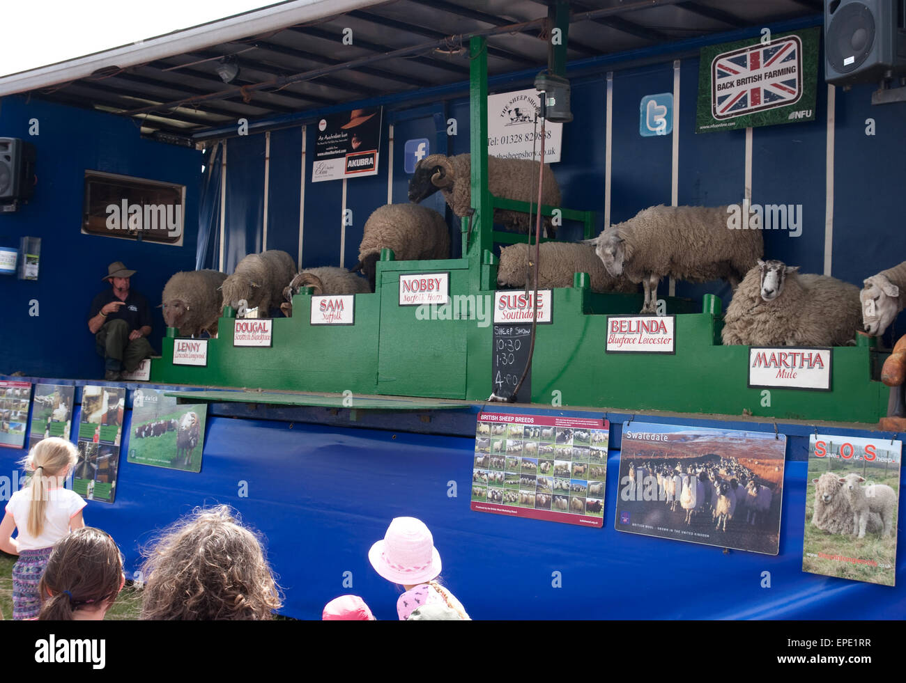 The Sheep Show présenté par Stuart Barnes avec différentes races de moutons au Hadleigh Show en 2015 Banque D'Images