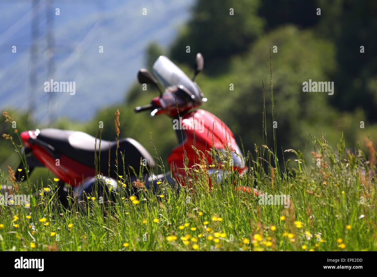 Herbe sauvage avec scooter rouge à l'arrière-plan Banque D'Images