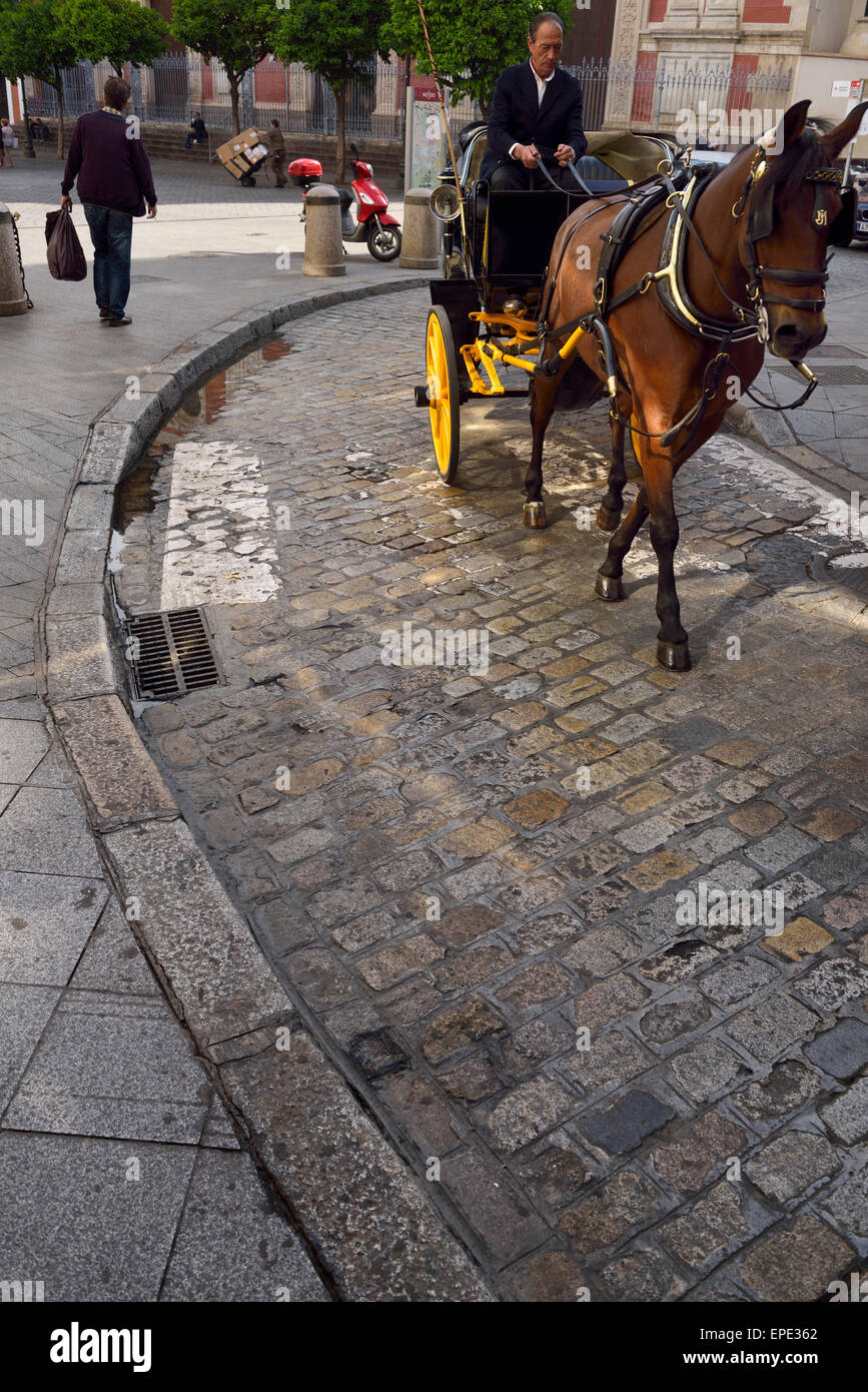 Cheval et sa voiture sur la rue pavée Alvarez Quintero le matin Séville Espagne Banque D'Images
