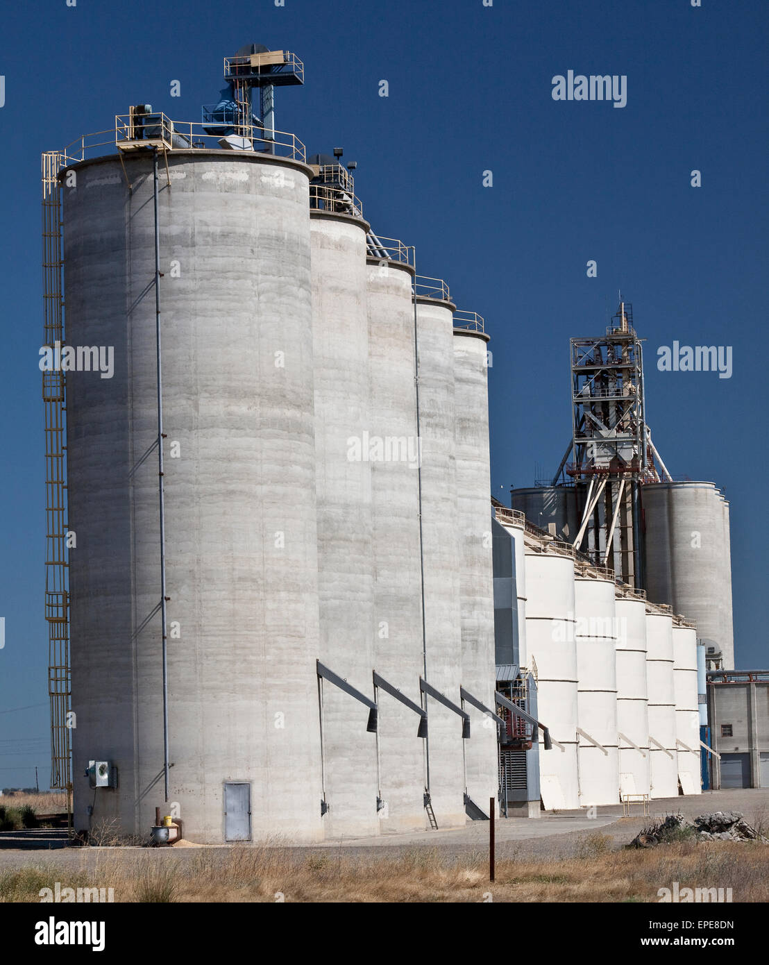 Les silos de stockage du riz dans la vallée centrale de Californie Banque D'Images