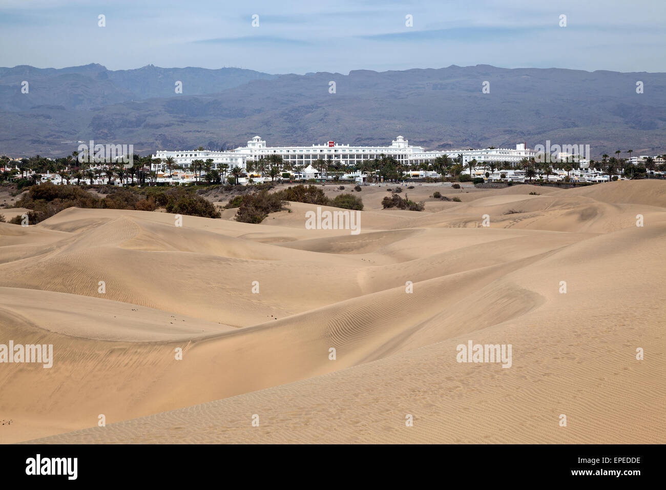 Les dunes, les Dunes de Maspalomas réserve naturelle, l'hôtel RIU derrière, Gran Canaria, Îles Canaries, Espagne Banque D'Images