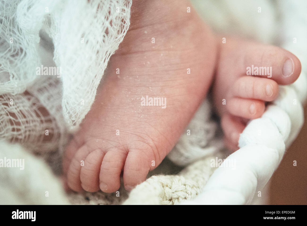 Pieds de bébé nouveau-né Banque D'Images