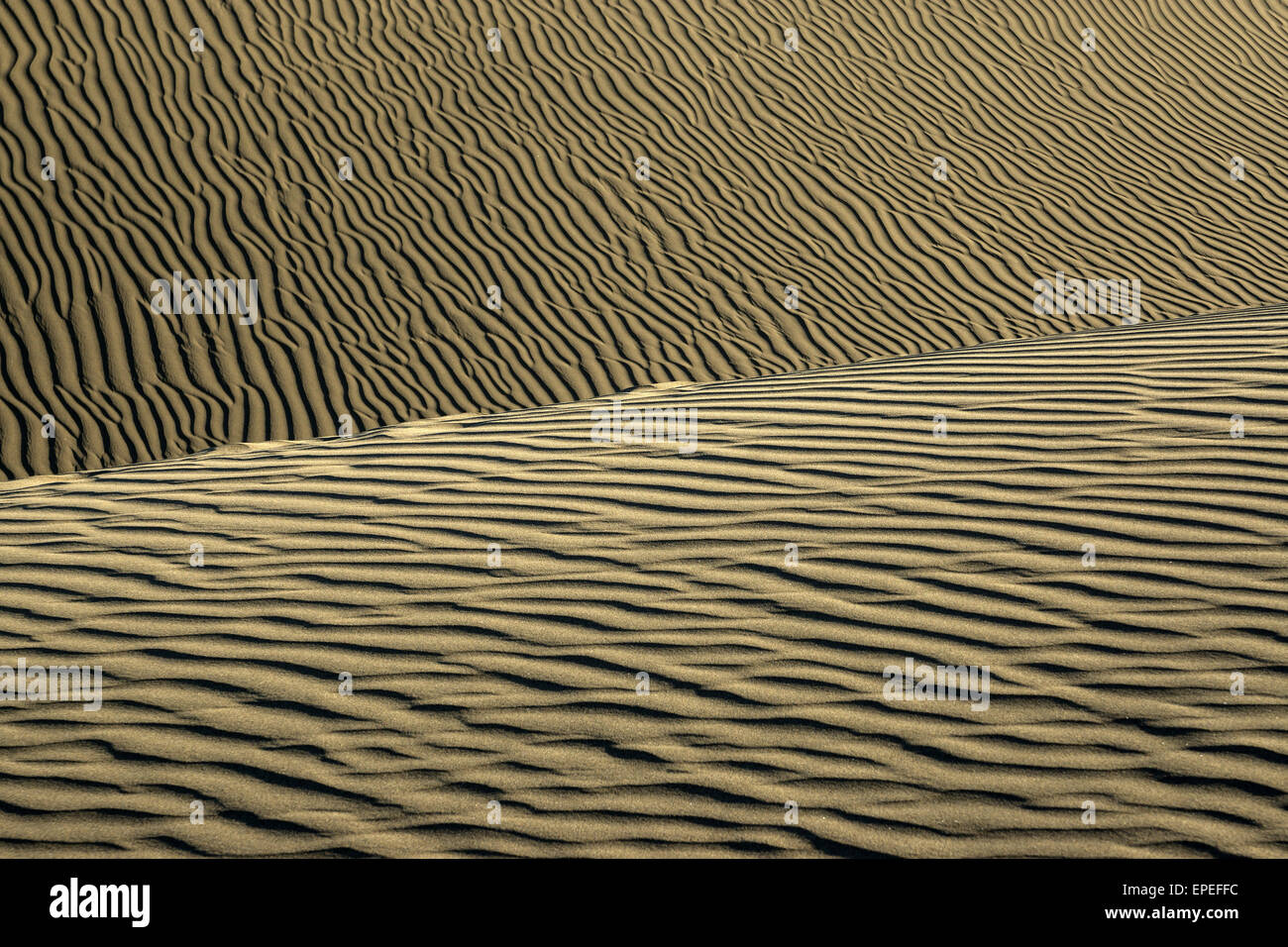 Structures ondulées dans le sable, les dunes de Maspalomas, réserve naturelle, Gran Canaria, Îles Canaries, Espagne Banque D'Images