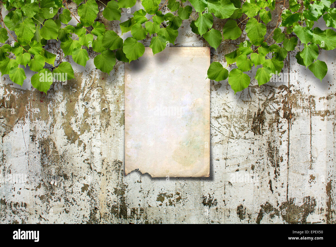 Vieux papier annonce sur le mur de pierre en ruine avec un feuillage vert clair Banque D'Images