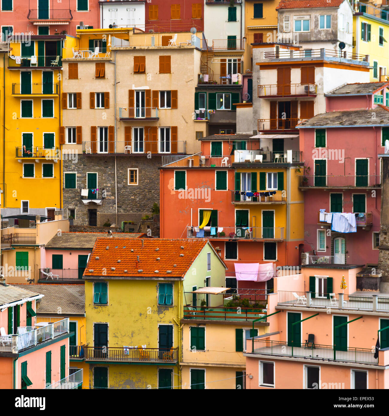 Manarola colorés village, Cinque Terre, Italie. Banque D'Images