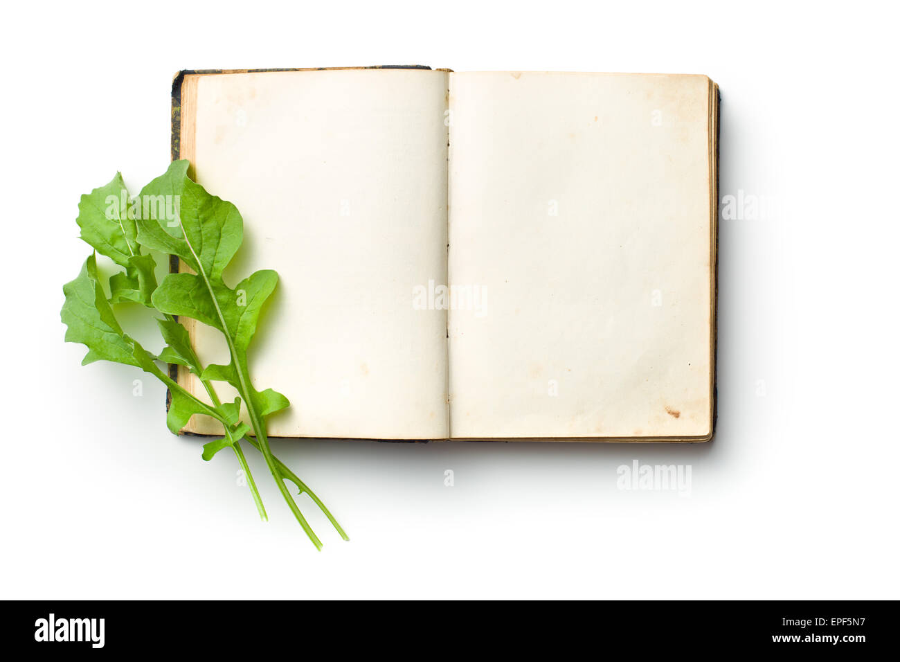 La roquette sur vieux livre Banque D'Images