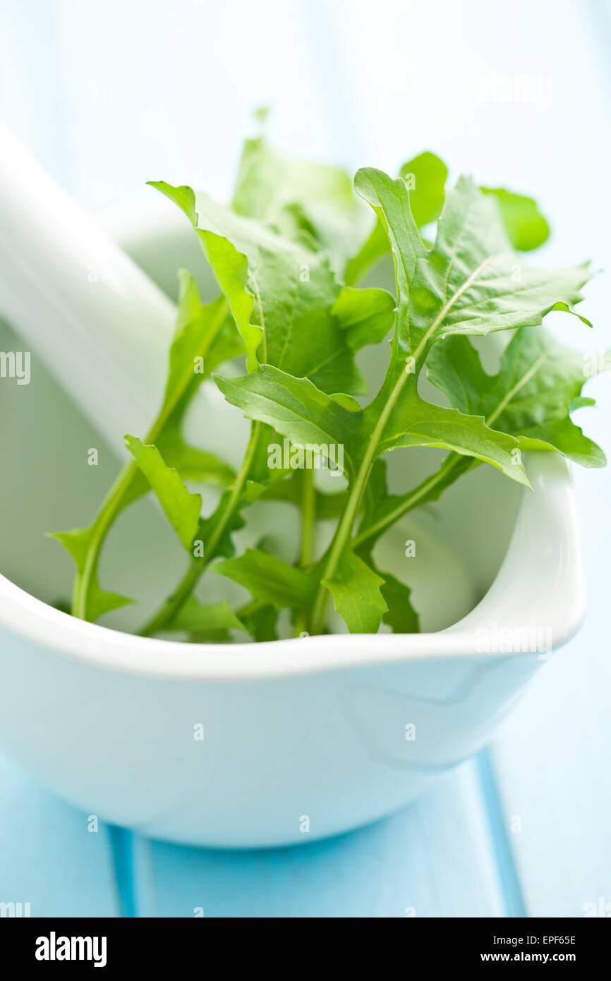 Les feuilles de roquette fraîche dans le mortier Banque D'Images