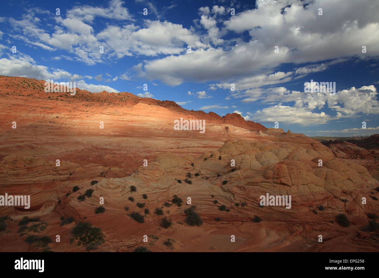 Coyote Buttes North La Vague Banque D'Images