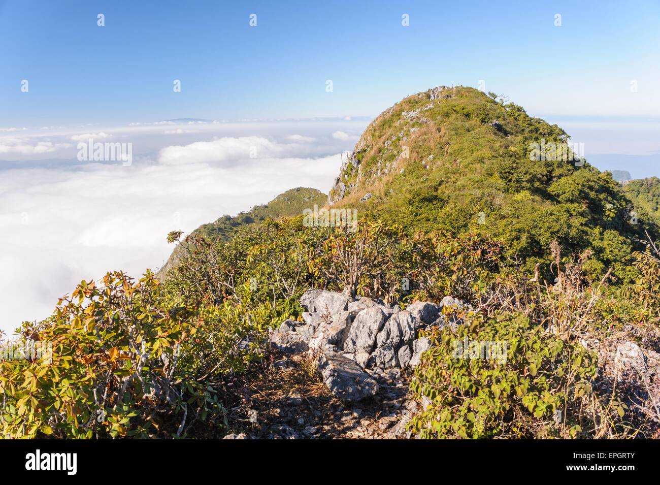 Des sentiers de randonnée parfaite sur Doi Luang Chiang Dao haut sanctuaire de faune de montagnes de calcaire, 7300 pieds au-dessus du niveau de la mer. Banque D'Images Des sentiers de randonnée parfaite sur Doi Luang Chiang Dao haut sanctuaire de faune de montagnes de calcaire, 7300 pieds au-dessus du niveau de la mer. Banque D'Images