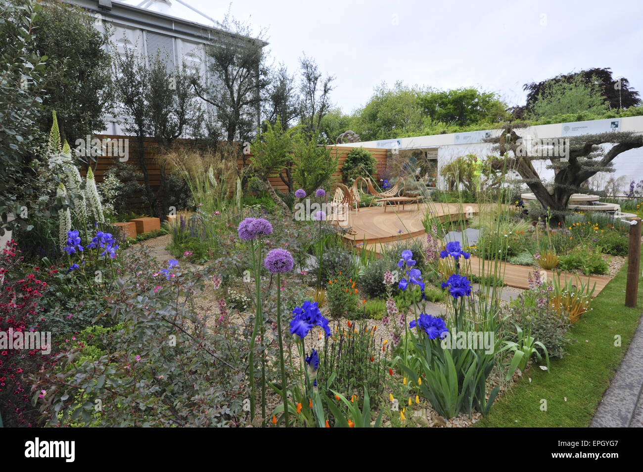 Londres, Royaume-Uni. 18 mai, 2015. La Banque Royale du Canada jardin au Chelsea Flower Show. Le jardin est divisé en trois parties principales : une irrigation zéro 'dry jardin", une récolte de l'eau centrale/zone de rangement et un jardin comestible avec un coin salle à manger/plate-forme. Crédit : Michael Preston/Alamy Live News Banque D'Images