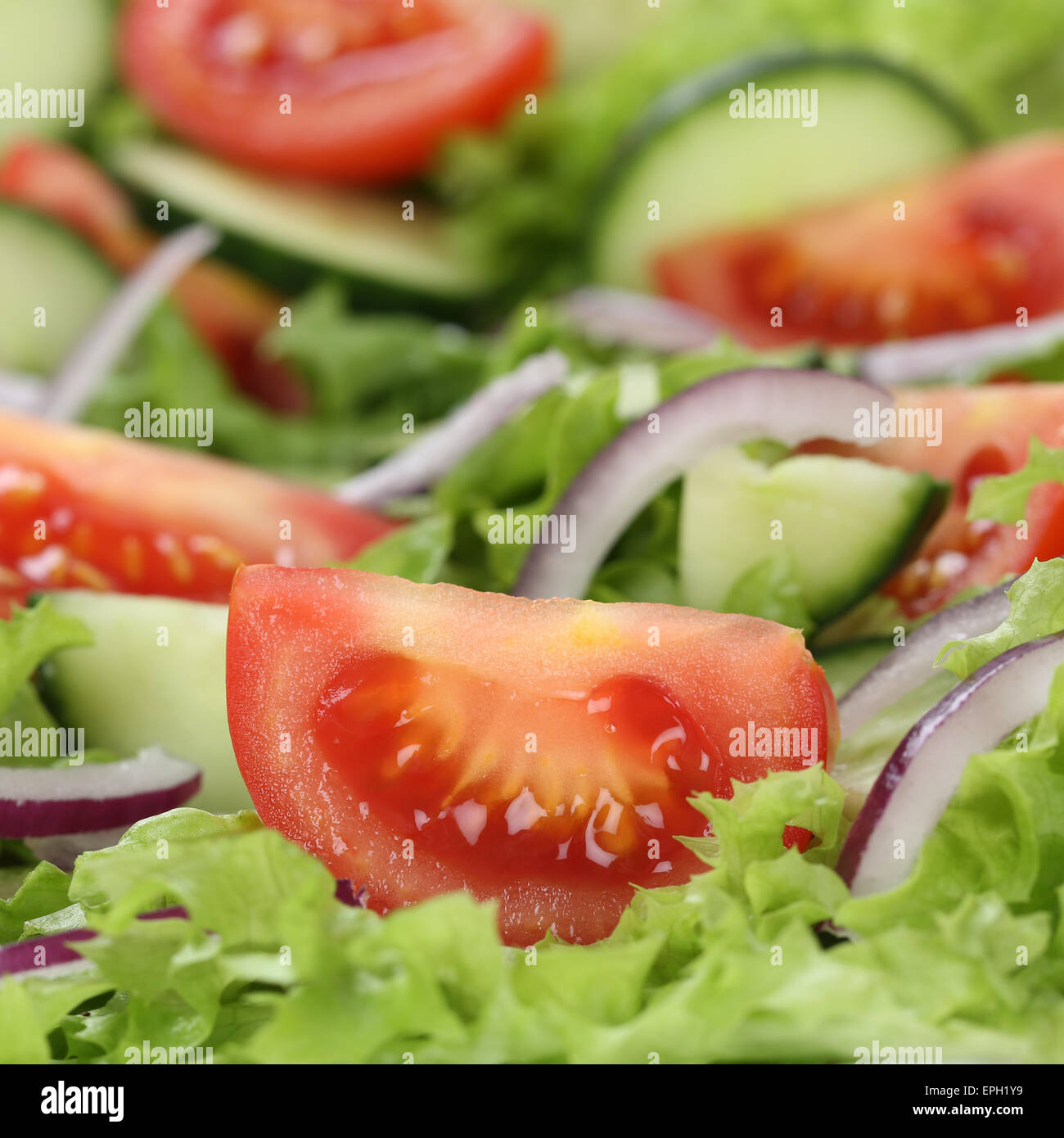 Gesundes Essen grüner Salat mit Tomaten und Zwiebeln Banque D'Images