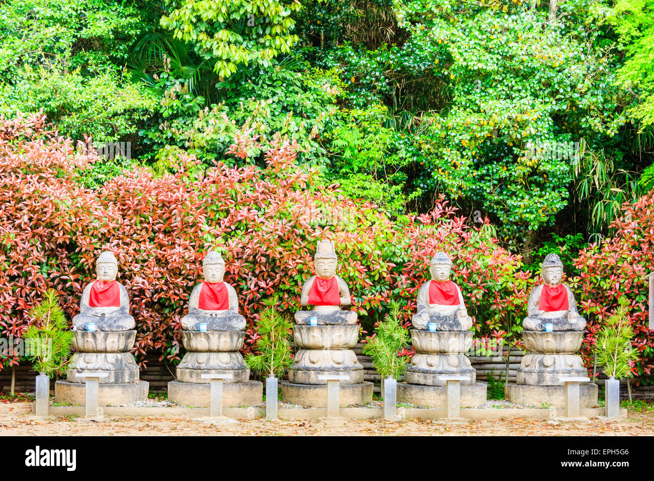 Rangée de 5 statues de bossatsu jizo, toutes avec des bavoirs rouges et sur des tourteaux en pierre avec des arbres derrière eux cachés par des masses de feuilles vertes et rouges. SUMA, Japon. Banque D'Images