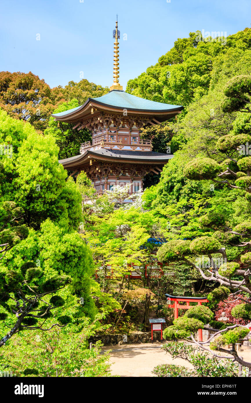 La pagode vermilion, à moitié cachée par des arbres, avec une porte torii devant, au printemps, au temple de Suma-Dera à Suma au Japon. Banque D'Images