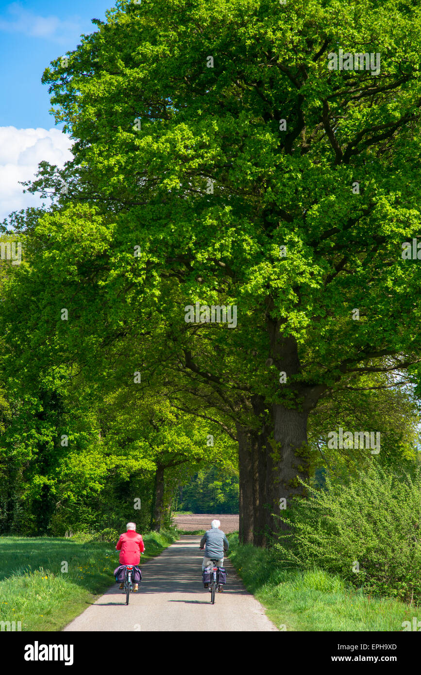 Deux cyclistes sur petite route en achterhoek holland Banque D'Images