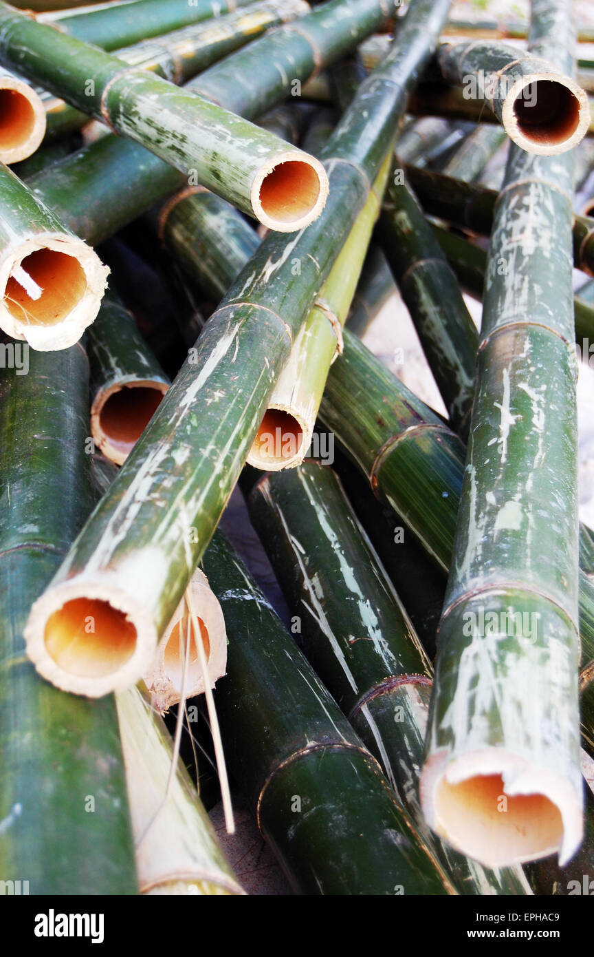 Une pile de coupe vert bambou sur la plage en Thaïlande Banque D'Images