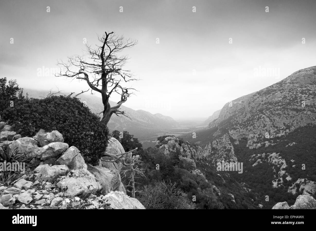 Dorgali, Sardaigne, Italie, 4/2015. Paysage et vue sur la montagne Supramonte sauvages, sur le chemin de l'ancien village Tiscali Banque D'Images