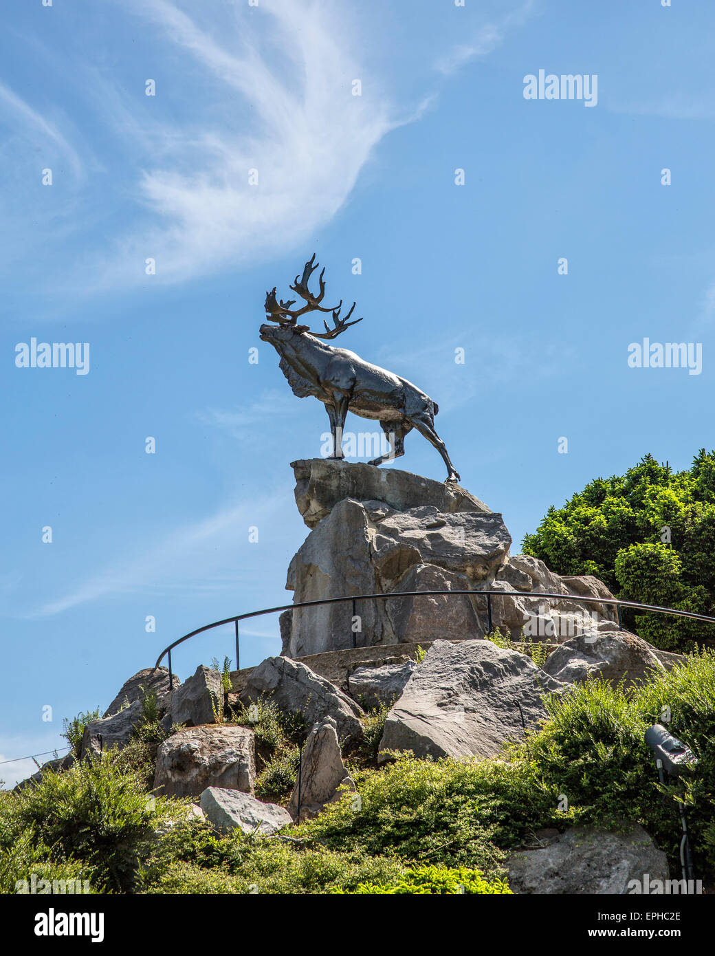 La statue de caribou, Terre-Neuve Memorial Park sur la Grande Guerre de bataille de la Somme l'une des 5 statues sur ce front de l'Ouest Banque D'Images