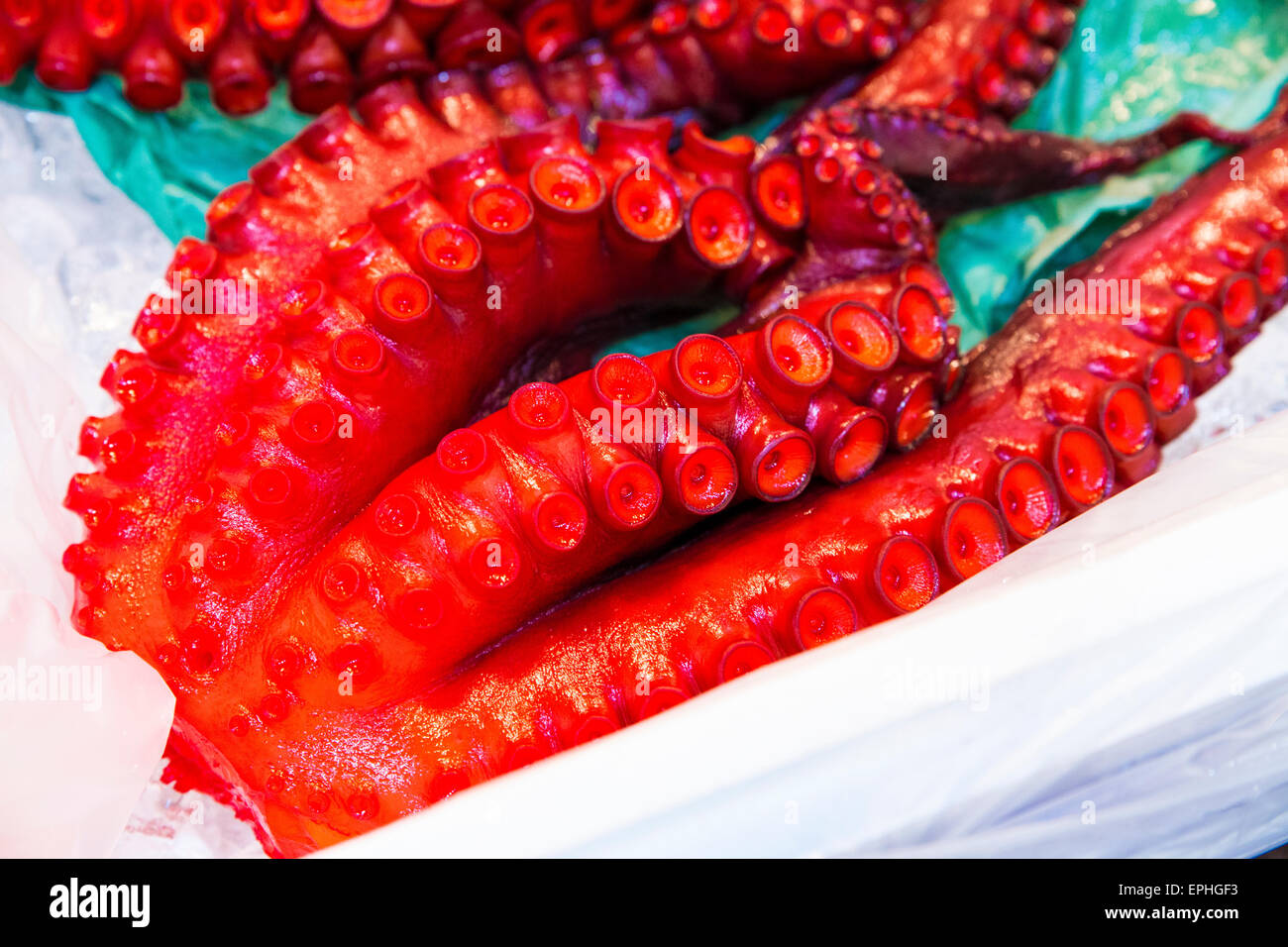 Le marché aux poissons de Tsukiji à Tokyo, Japon Banque D'Images