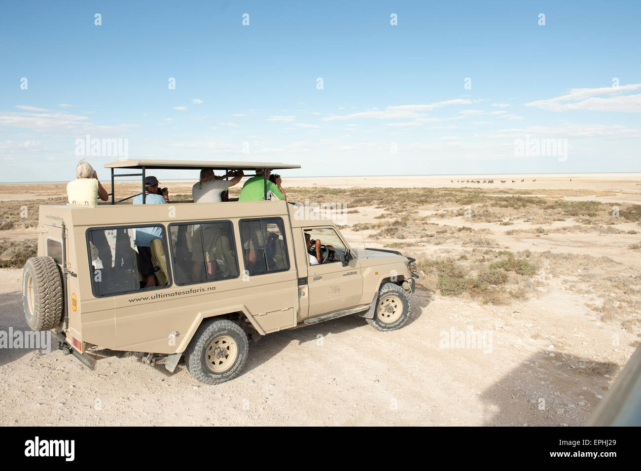 L'Afrique, la Namibie. Etosha National Park. Les touristes photographiant des gnous. Banque D'Images