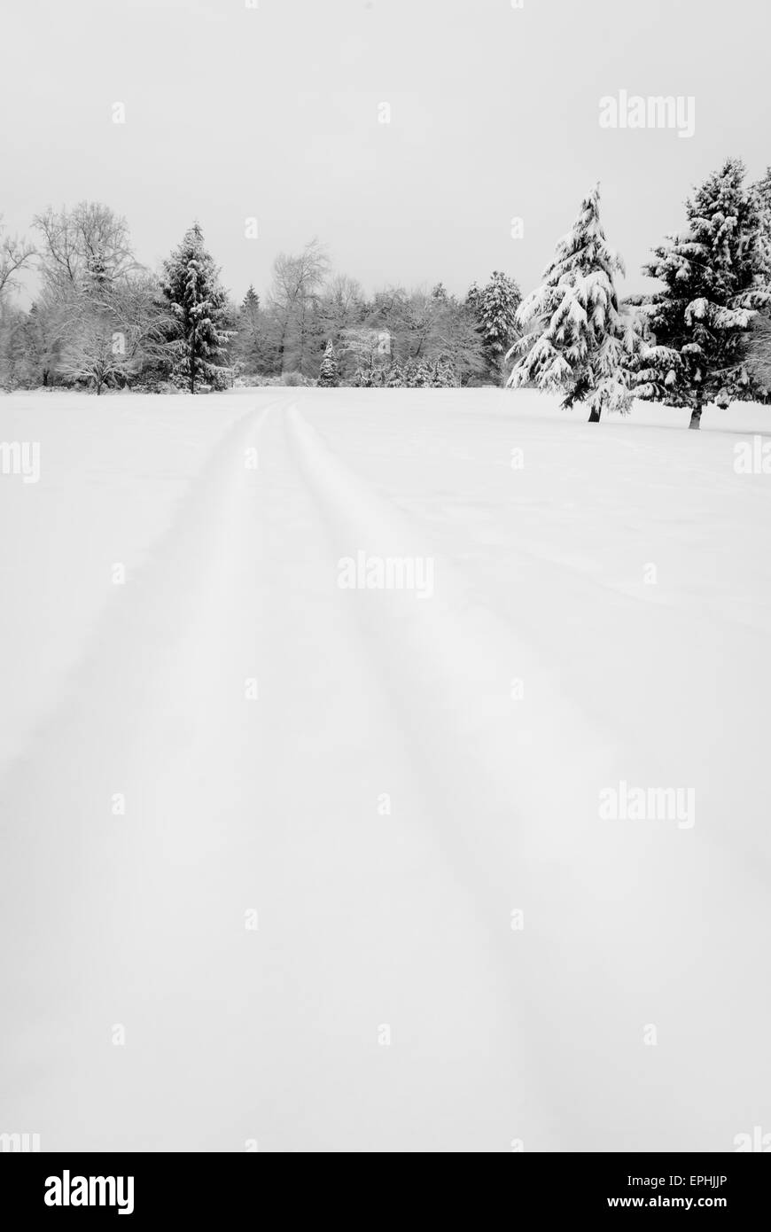 Rare la neige lourde chute dans le Grand Vancouver, Décembre 2008 Banque D'Images