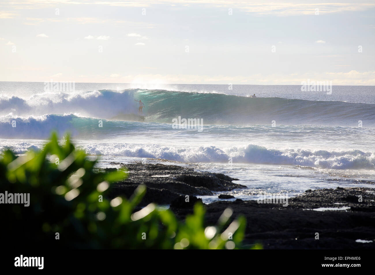 Grande circonscription Surfer la vague de surf à l'île de Asu à distance à Sumatra, Indonésie Banque D'Images