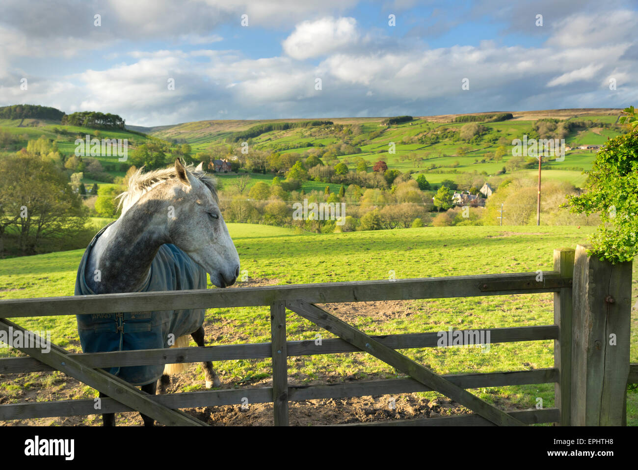 Rosedale Abbey, le North Yorkshire Moors, l'Angleterre, Mai 2015 Banque D'Images
