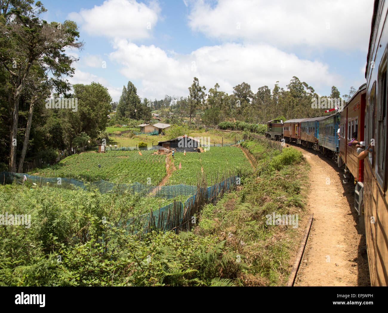 Voyage en Train à travers l'escalade campagne près de Nuwara Eliya, Sri Lanka, Asie Banque D'Images