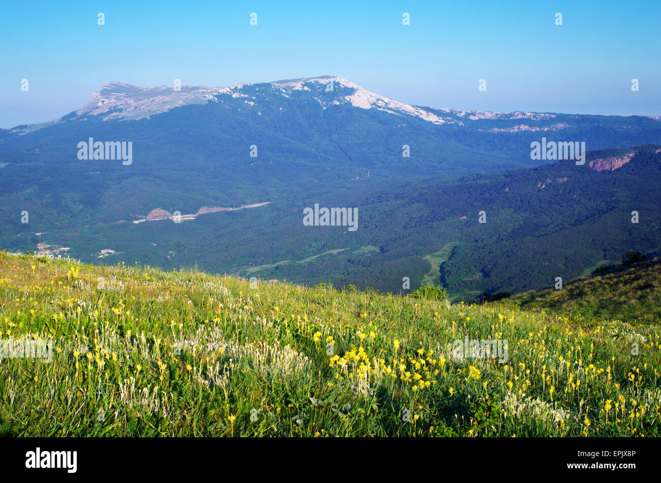 Paysage de montagne. Composition de la nature. Élément de design. Banque D'Images