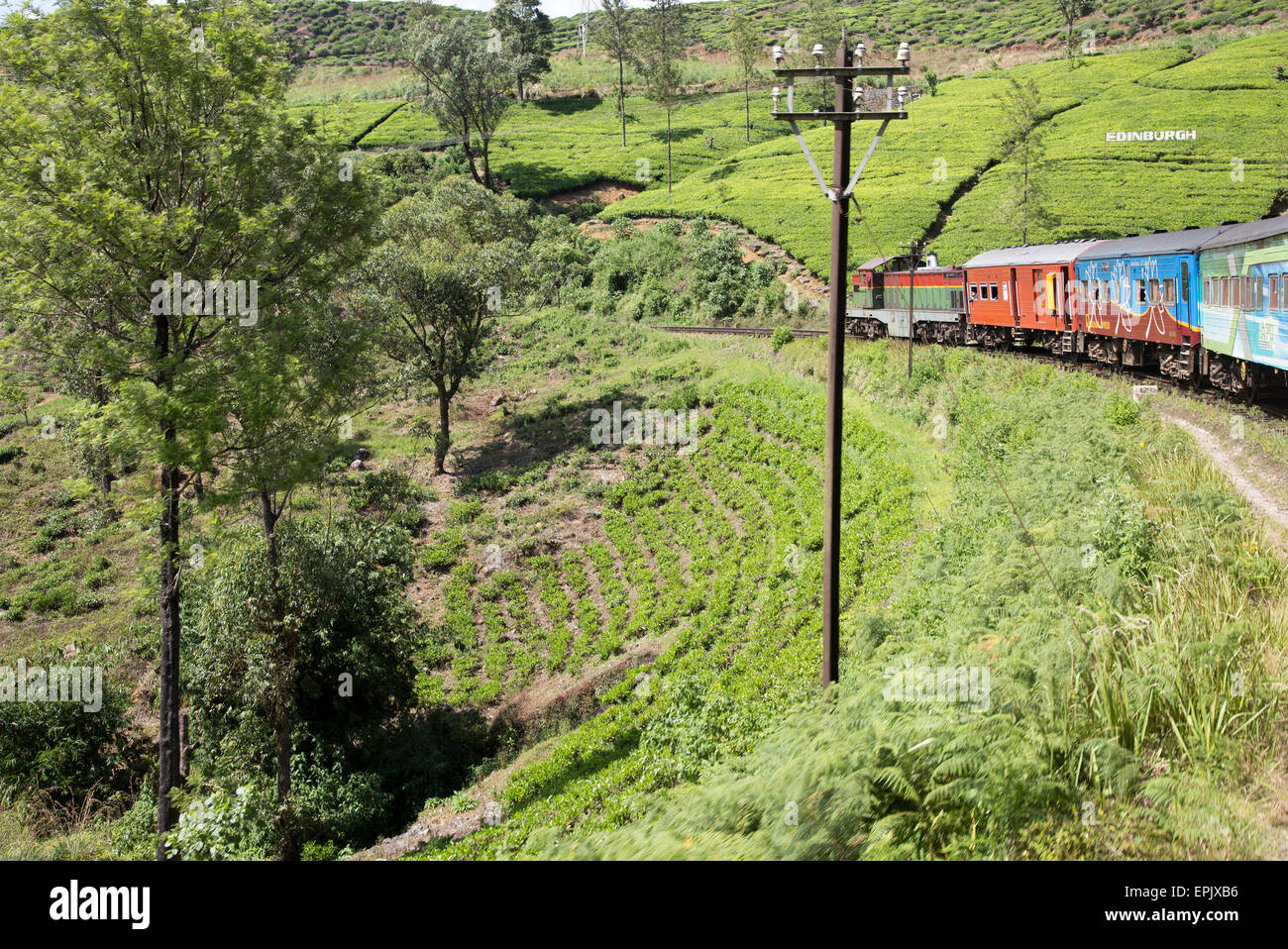 Voyage en Train à travers l'escalade campagne près de Nuwara Eliya, Sri Lanka, Asie Banque D'Images