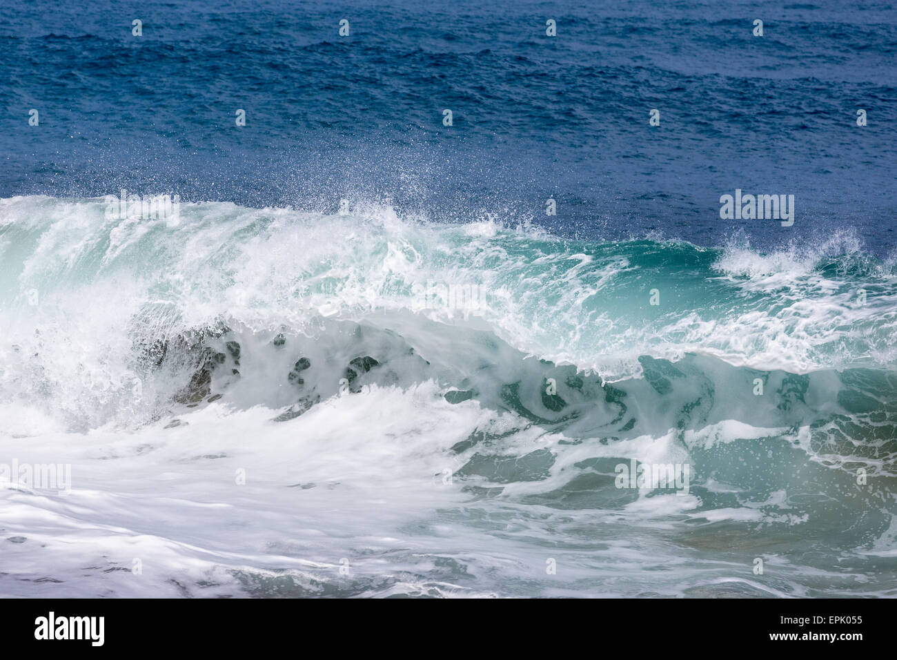 Motion gelée de grosse vague sur la plage Banque D'Images
