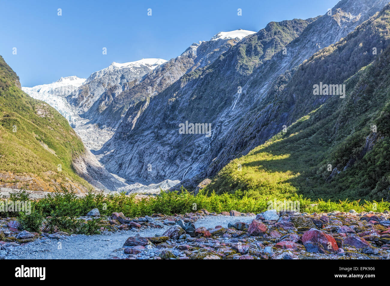 Belle Franz Josef Glacier, île du Sud, Nouvelle-Zélande. Banque D'Images