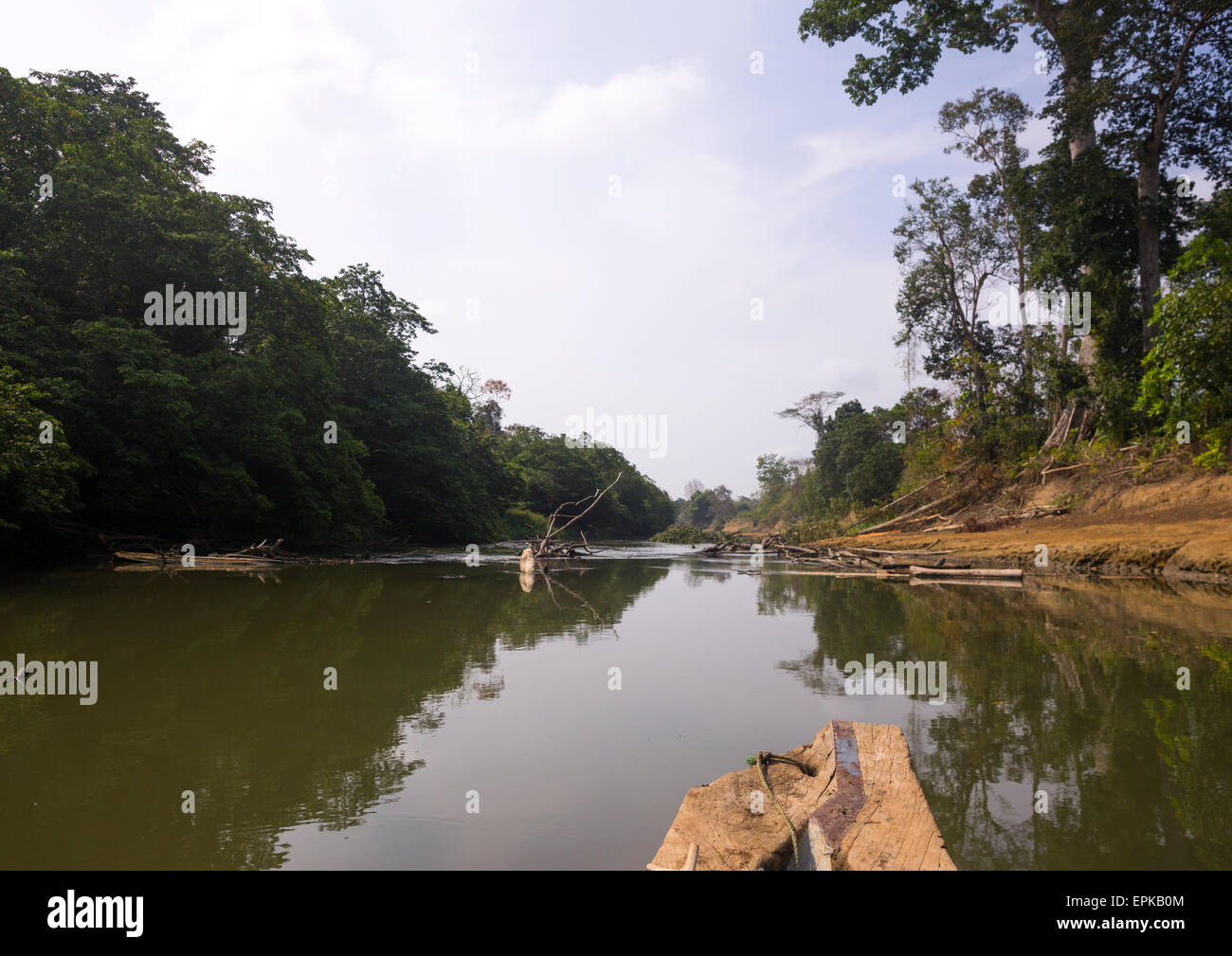 Panama, province de Darién, Filo Del Tallo, le rio Chucunaque Banque D'Images